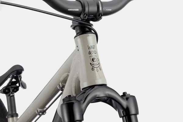 Cannondale