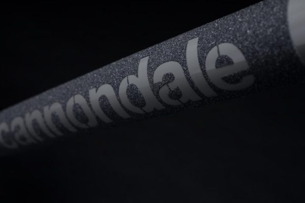 Cannondale "DAVE" jump bike