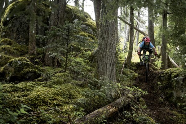 WHISTLER MTB with Atlas Ride Co